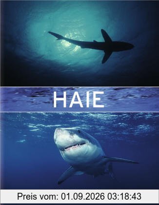 Haie