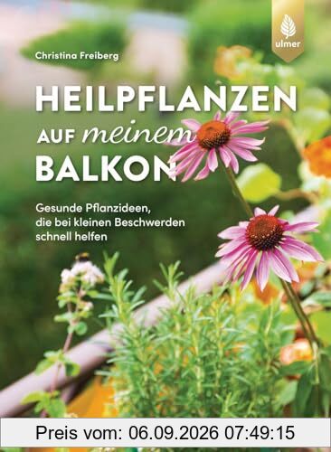 Heilpflanzen auf meinem Balkon: Gesunde Pflanzideen, die bei kleinen Beschwerden schnell helfen
