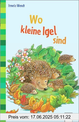 Binding : Broschiert, Label : Arena, Publisher : Arena, medium : Broschiert, numberOfPages : 64, publicationDate : 2012-05-01, authors : Irmela Wendt, languages : german, ISBN : 3401500651