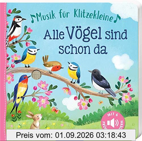 Musik für Klitzekleine - Alle Vögel sind schon da: Frühlingslieder