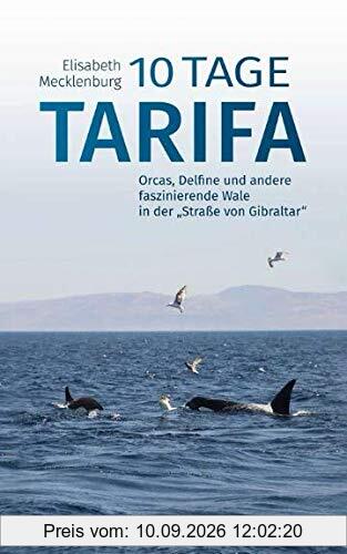 10 Tage Tarifa: Orcas, Delfine und andere faszinierende Wale in der Straße von Gibraltar