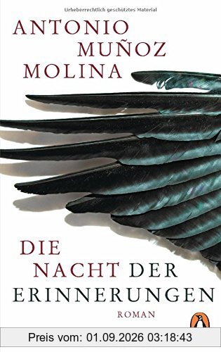 Die Nacht der Erinnerungen: Roman