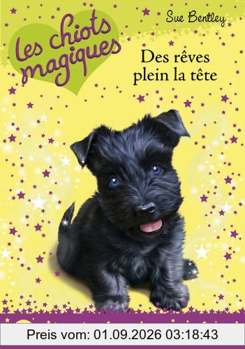 Les chiots magiques. Vol. 11. Des rêves plein la tête