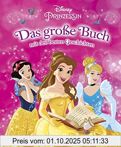 Disney Prinzessin - Das große Buch - mit den besten Geschichten