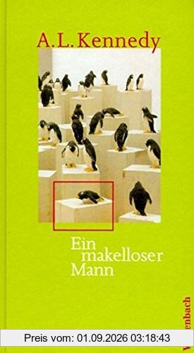 Ein makelloser Mann (Quartbuch)