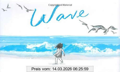 Suzy Lee Wave