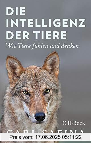 Binding : Taschenbuch, Edition : 1, Label : C.H.Beck, Publisher : C.H.Beck, medium : Taschenbuch, numberOfPages : 526, publicationDate : 2019-07-18, releaseDate : 2019-07-18, authors : Carl Safina, translators : Sigrid Schmid, Gabriele Würdinger, ISBN : 340673958X