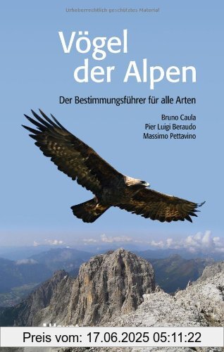 Binding : Broschiert, Edition : 1, Label : Haupt, Publisher : Haupt, medium : Broschiert, numberOfPages : 320, publicationDate : 2010-09-15, authors : Bruno Caula, Beraudo, Pier Luigi, Massimo Pettavino, languages : german, ISBN : 3258075972