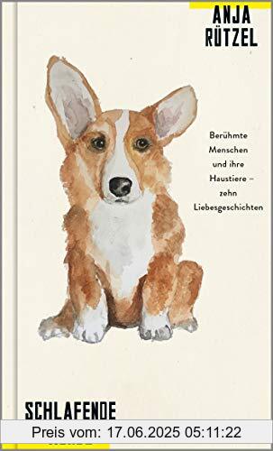 Binding : Gebundene Ausgabe, Edition : 1., Label : Kiepenheuer&Witsch, Publisher : Kiepenheuer&Witsch, medium : Gebundene Ausgabe, numberOfPages : 272, publicationDate : 2020-03-05, releaseDate : 2020-03-05, authors : Anja Rützel, ISBN : 3462052322
