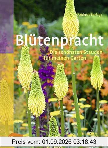 Blütenpracht: Die schönsten Stauden für meinen Garten