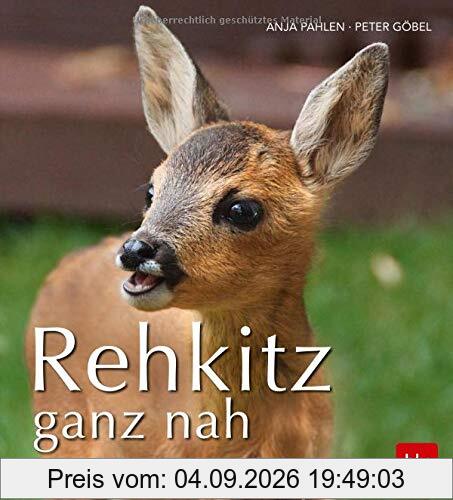 Rehkitz ganz nah: Die Geschichte einer Freundschaft