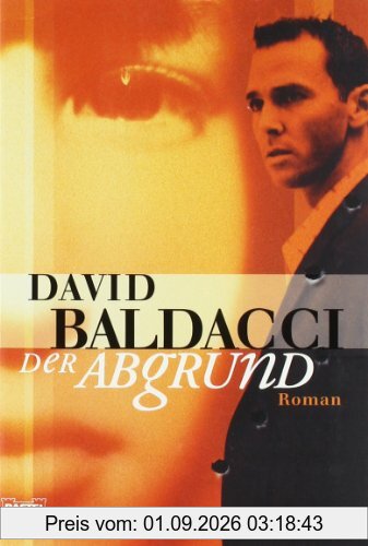 Der Abgrund: Roman