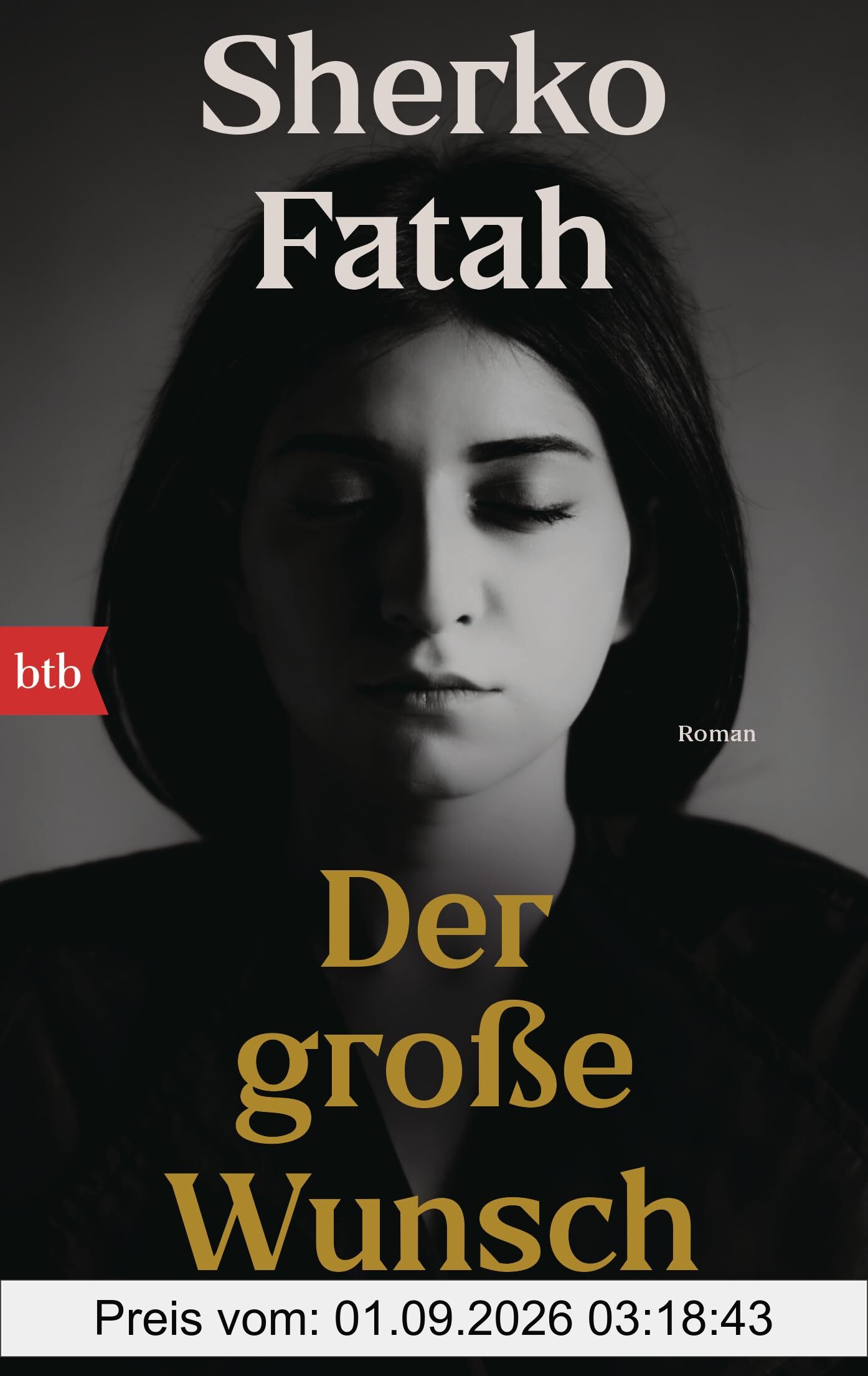 Der große Wunsch: Roman