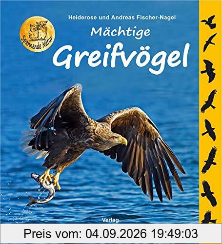 Mächtige Greifvögel