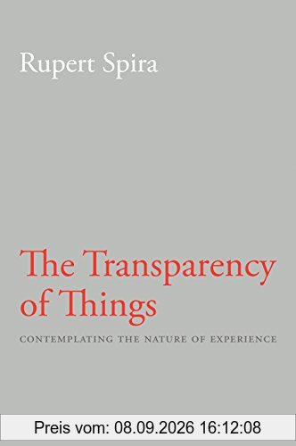 Transparency of Things: Contemplating the Nature of Experience