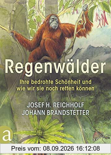 Regenwälder: Ihre bedrohte Schönheit und wie wir sie noch retten können