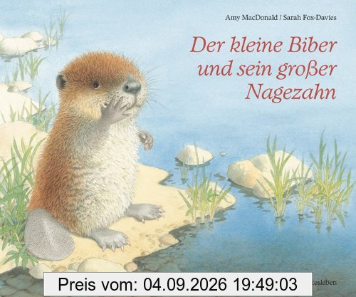 Der kleine Biber und sein großer Nagezahn