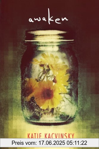 Binding : Taschenbuch, Edition : Reprint, Label : HMH Books for Young Readers, Publisher : HMH Books for Young Readers, NumberOfItems : 2, PackageQuantity : 1, medium : Taschenbuch, numberOfPages : 320, publicationDate : 2012-04-17, authors : Katie Kacvinsky, languages : english, ISBN : 0547721986