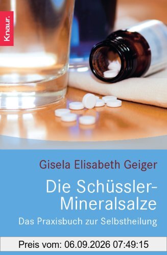 Die Schüssler-Mineralsalze: Das Praxisbuch zur Selbstheilung