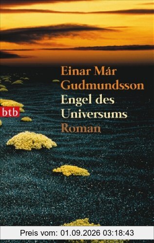 Engel des Universums: Roman