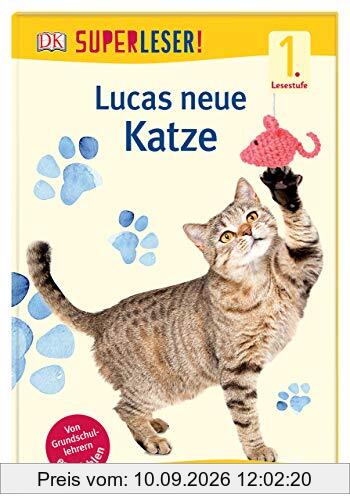 SUPERLESER! Lucas neue Katze: Sach-Geschichten für Leseanfänger, 1. Lesestufe