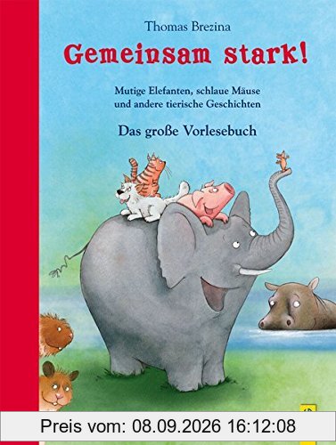 Gemeinsam stark! Das große Vorlesebuch: Mutige Elefanten, schlaue Mäuse und andere tierische Geschichten