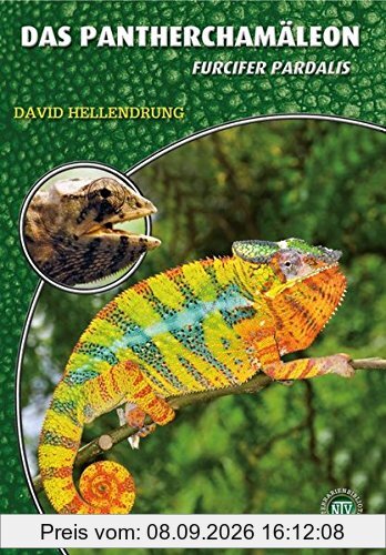 Das Pantherchamäleon: Furcifer pardalis (Art für Art)