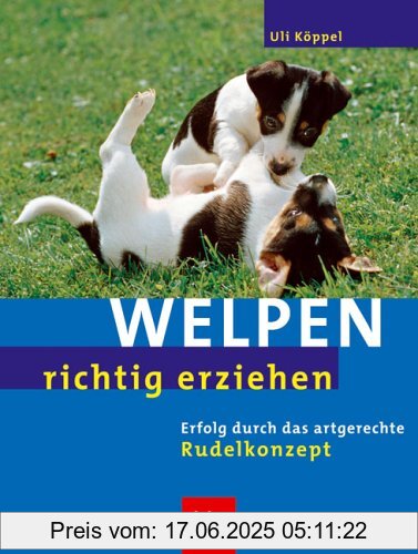 Binding : Taschenbuch, Edition : 1, Label : Blv Buchverlag, Publisher : Blv Buchverlag, medium : Taschenbuch, numberOfPages : 95, publicationDate : 2005-01-01, authors : Uli Köppel, languages : german, ISBN : 3405168538