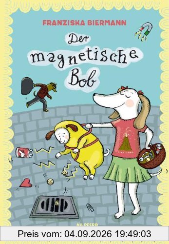 Der magnetische Bob
