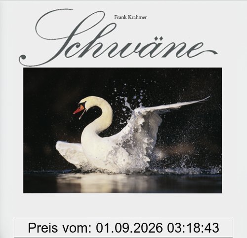 Schwäne. Eleganz in Weiß