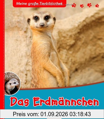 Das Erdmännchen