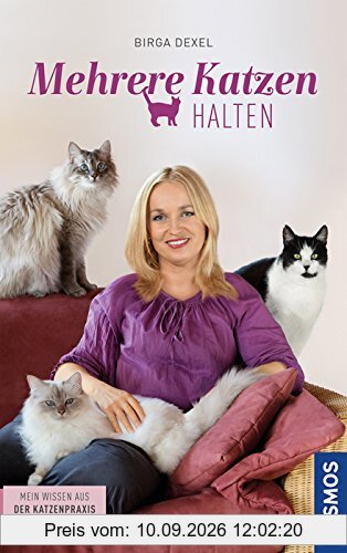 Mehrere Katzen halten: Mein Wissen aus der Katzenpraxis
