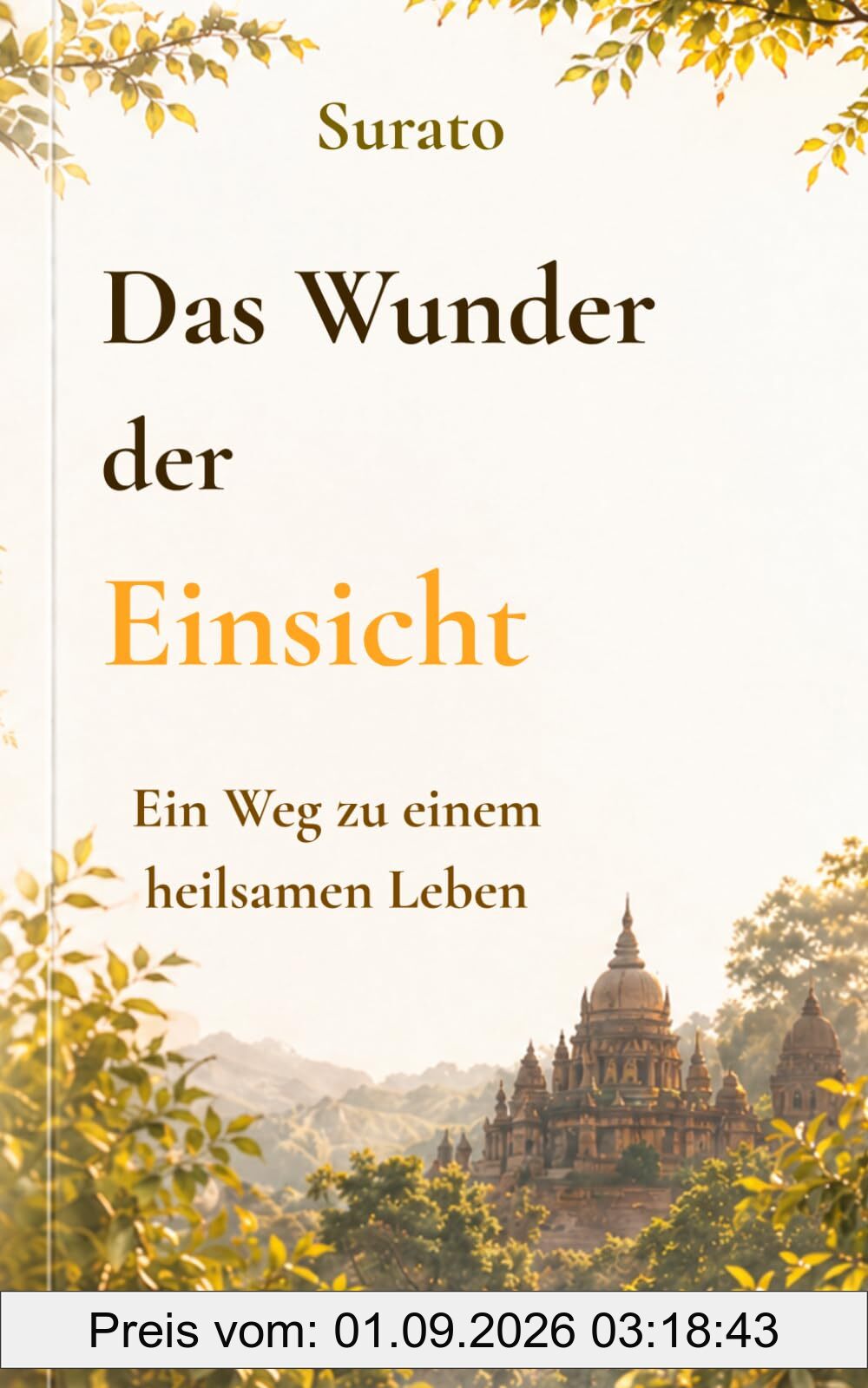 Das Wunder der Einsicht: Ein Weg, das eigene Leben in eine heilsame Richtung zu führen