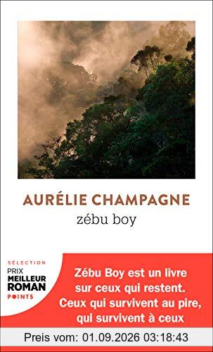 Zébu boy