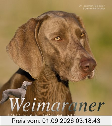 Weimaraner: Der edle Jagdhund