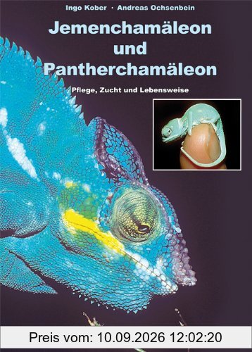 Jemenchamäleon und Pantherchamäleon: Pflege, Zucht und Lebensweise