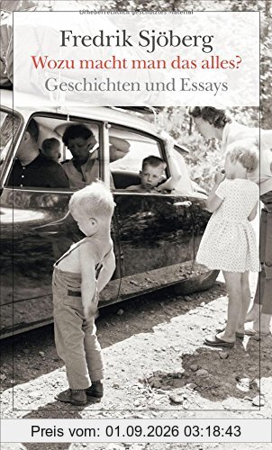 Wozu macht man das alles?: Geschichten und Essays