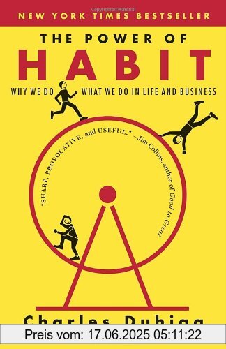 Binding : Taschenbuch, Edition : Reprint, Label : Random House Trade Paperbacks, Publisher : Random House Trade Paperbacks, NumberOfItems : 1, medium : Taschenbuch, numberOfPages : 416, publicationDate : 2014-01-07, releaseDate : 2014-01-07, authors : Charles Duhigg, languages : english, ISBN : 081298160X