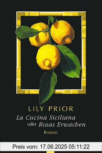 Binding : Taschenbuch, Edition : 6., Label : Bastei Lübbe, Publisher : Bastei Lübbe, medium : Taschenbuch, numberOfPages : 256, publicationDate : 2009-09-18, authors : Lily Prior, translators : Michael Schulte, languages : german, ISBN : 3404921550