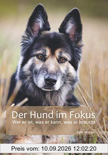 Der Hund im Fokus: Wer er ist, was er kann, was er braucht