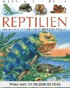 Wissen mit Pfiff. Reptilien: Was Kinder erfahren und verstehen wollen