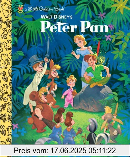 Binding : Gebundene Ausgabe, Label : Golden/Disney, Publisher : Golden/Disney, NumberOfItems : 2, PackageQuantity : 1, medium : Gebundene Ausgabe, numberOfPages : 24, publicationDate : 2007-01-23, releaseDate : 2007-01-23, authors : RH Disney, languages : english, ISBN : 0736402381