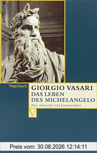 Das Leben des Michelangelo