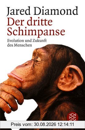 Der dritte Schimpanse