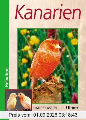 Kanarien: Verhalten, Ernährung, Pflege