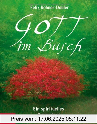 Binding : Gebundene Ausgabe, Label : Kösel-Verlag, Publisher : Kösel-Verlag, medium : Gebundene Ausgabe, numberOfPages : 176, publicationDate : 2011-03-28, authors : Felix Rohner-Dobler, languages : german, ISBN : 3466370043