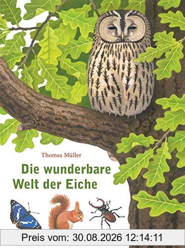 Die wunderbare Welt der Eiche