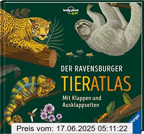 Binding : Gebundene Ausgabe, Edition : 1, Label : Ravensburger Verlag GmbH, Publisher : Ravensburger Verlag GmbH, medium : Gebundene Ausgabe, numberOfPages : 62, publicationDate : 2023-07-01, authors : Anne Rooney, translators : Annika Klapper, ISBN : 3473480622