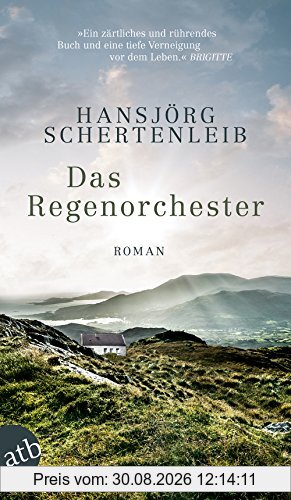Das Regenorchester: Roman