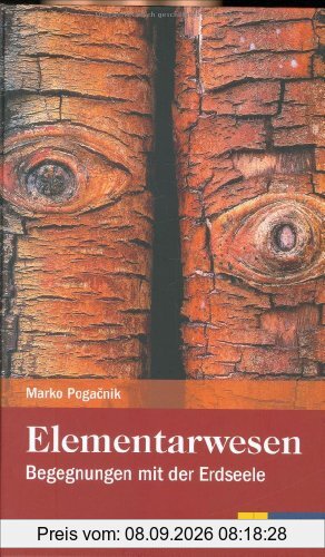 Elementarwesen: Begegnungen mit der Erdseele